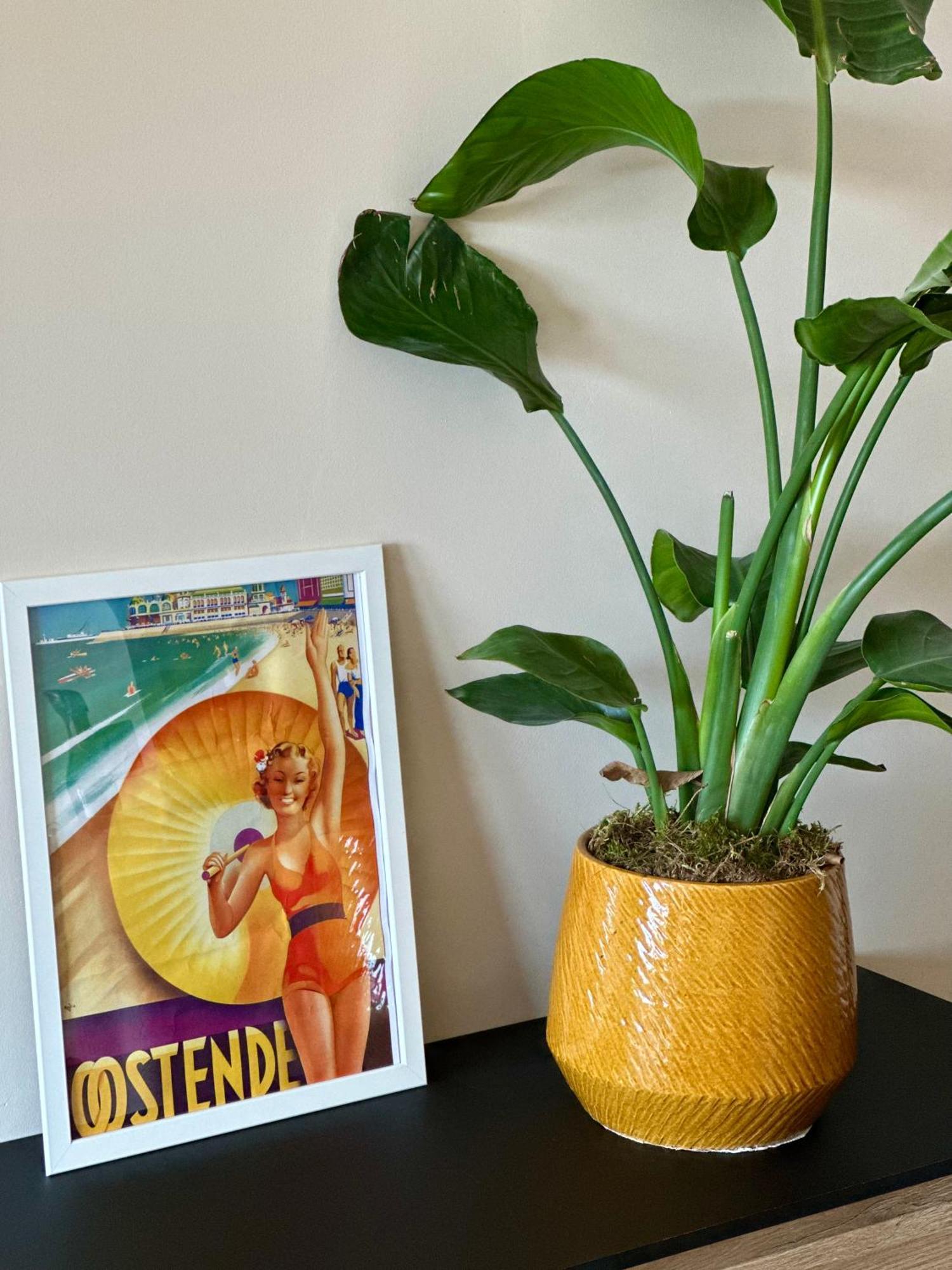 Studio By Aimee - 20M From The Beach & In City Centre! Oostende Bagian luar foto