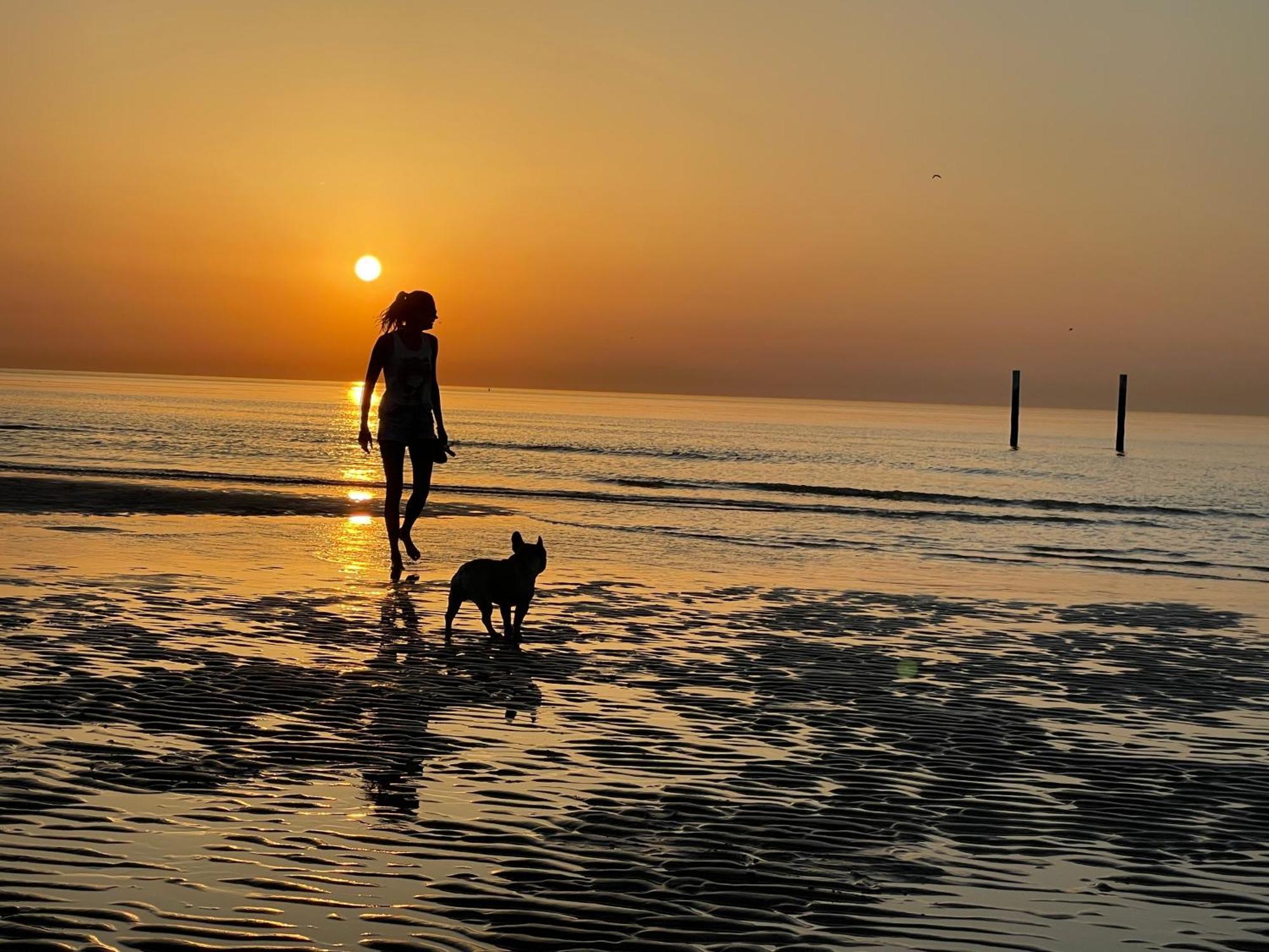 Studio By Aimee - 20M From The Beach & In City Centre! Oostende Bagian luar foto